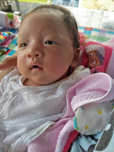 น้องขนมจีนค่ะ