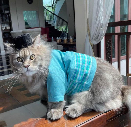 fatin zakirah profile icon