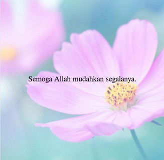 Nur Ainun profile icon