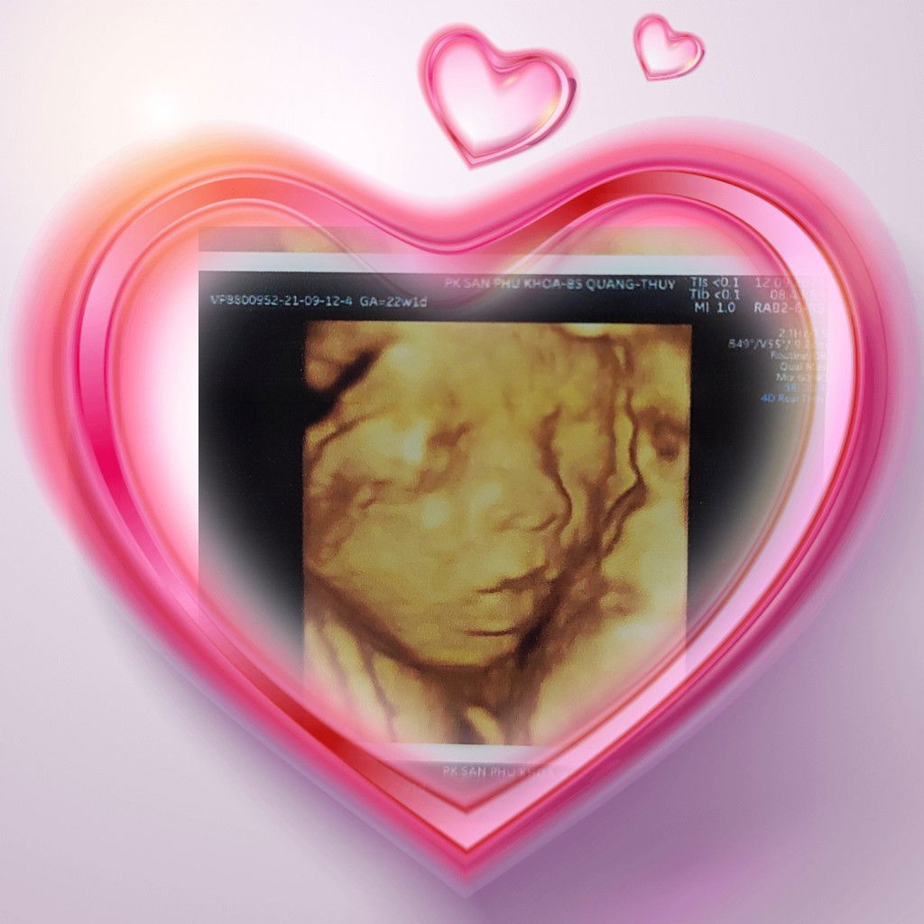 Thu Trang Pham profile icon