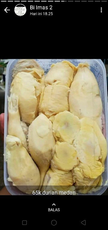 menunggu si bayi profile icon