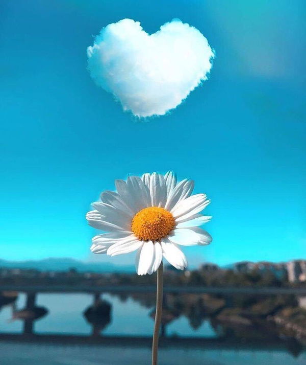 พัชริดา profile icon