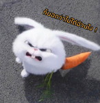 Mama Rabit profile icon