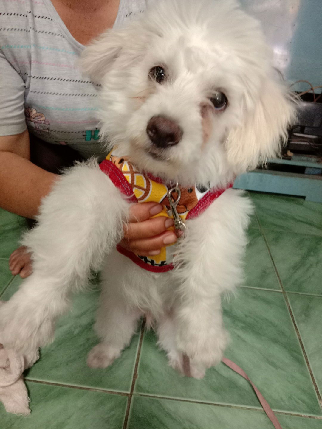 Yammy Sanwang profile icon