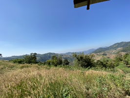 kamonphan profile icon