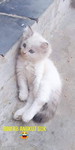 hayati profile icon