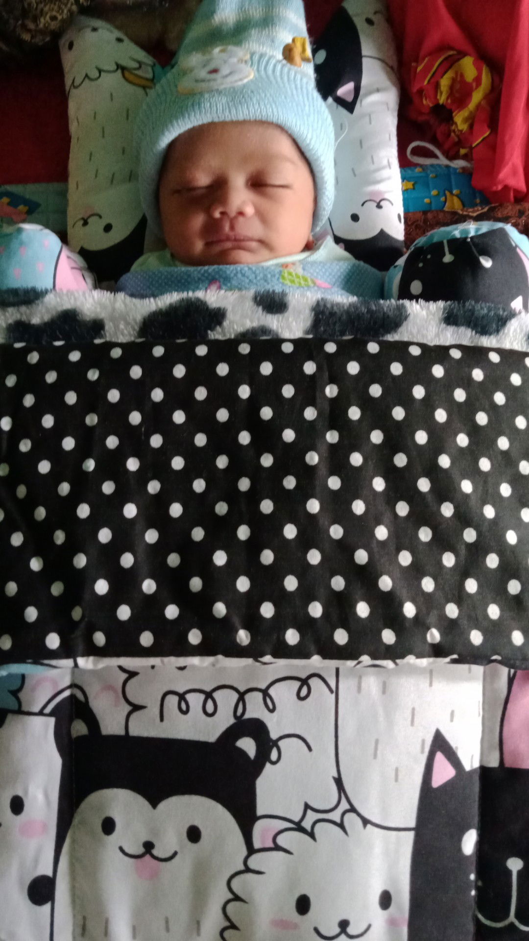 Tinah Bolobolo profile icon