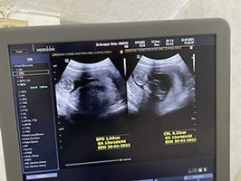 Juthamas profile icon