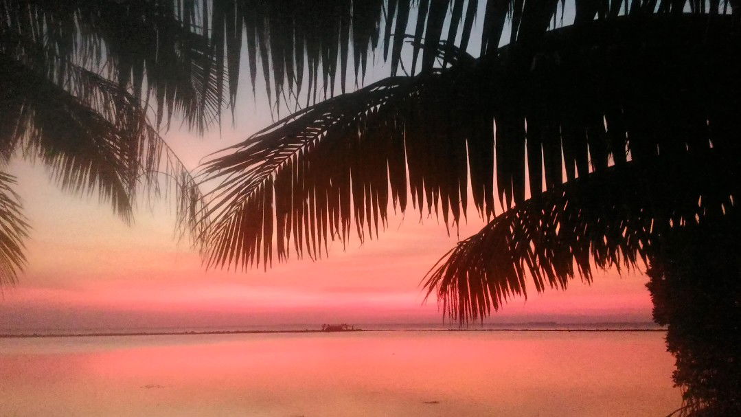 GendisManis profile icon