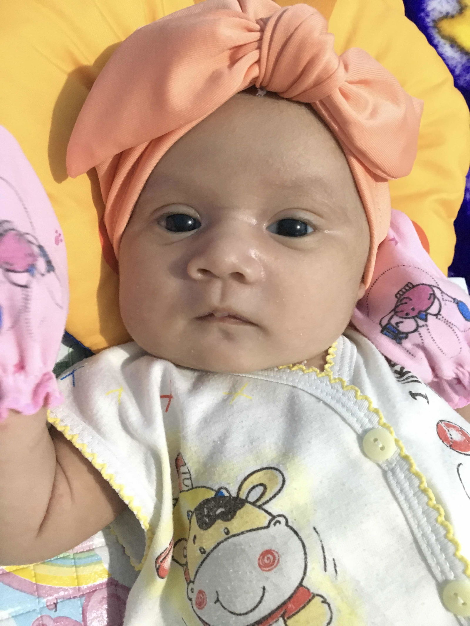 Ferica Tiyas profile icon