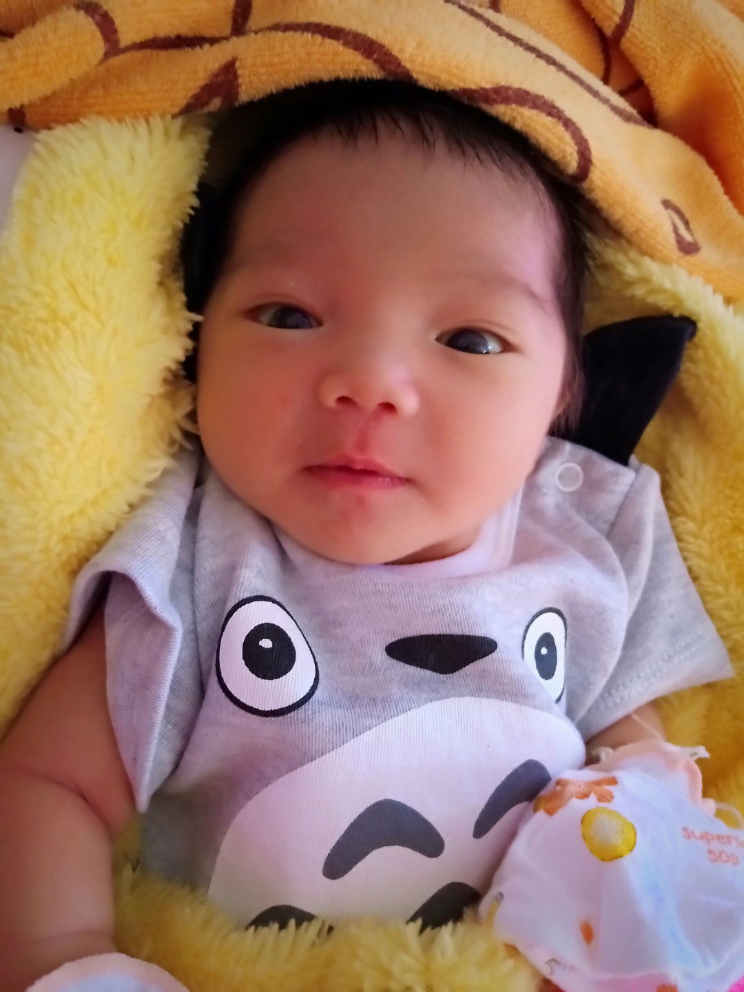 เด็กหญิงวทัญญุตา  ศรีบุญเรือง profile icon