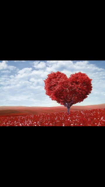 Ayunisa Dhea Alvianti profile icon