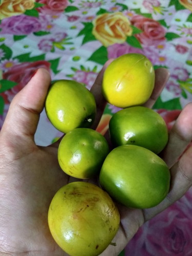 hamil 9bulan