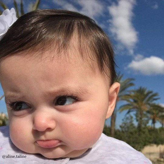 Noviaulfa profile icon