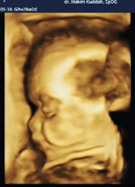 Nailul Faroh profile icon