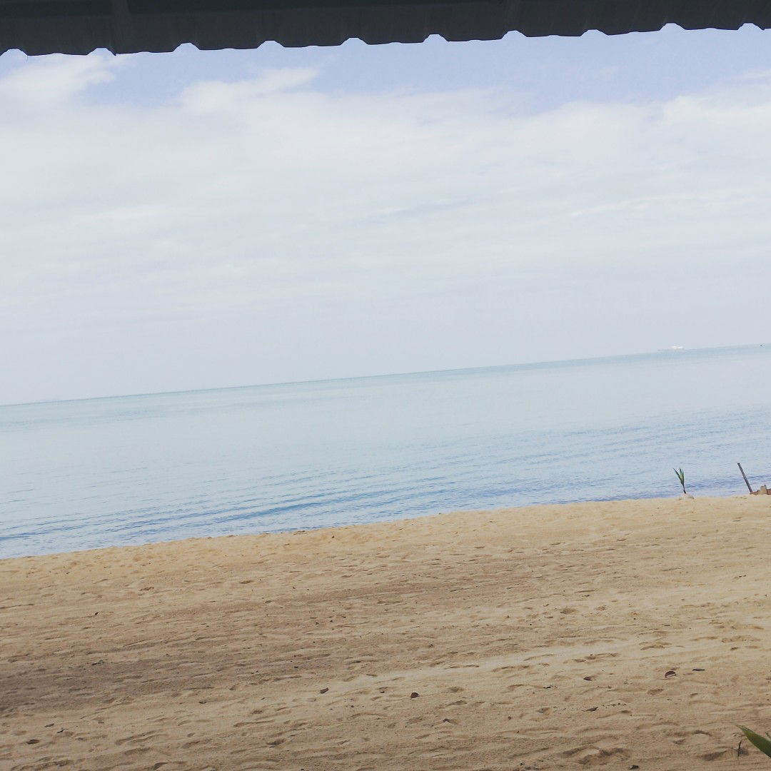 noor shahiera profile icon