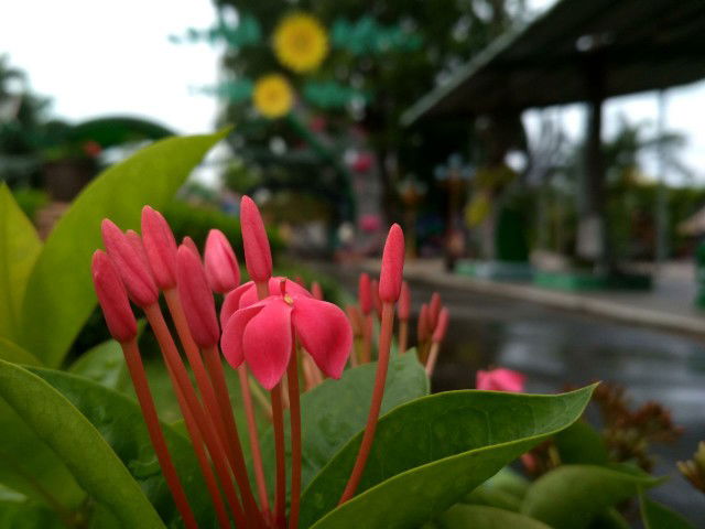 Nur Nur profile icon