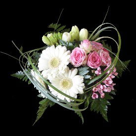 papamama profile icon