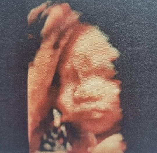 김하연 profile icon