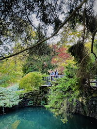 Jo Na Lyn profile icon