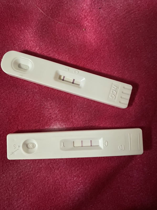 Michaela Pinero profile icon