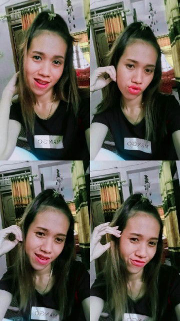 Nova kitty profile icon