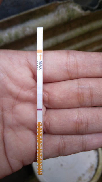 Risa Yulia profile icon