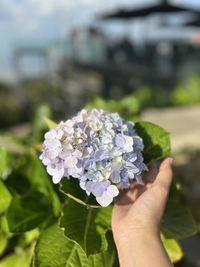 JFarhany profile icon