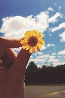 arimbiprabawati profile icon