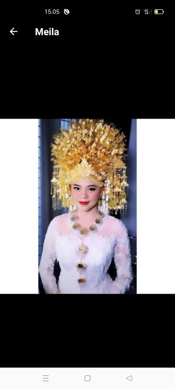 Meila Handoko profile icon