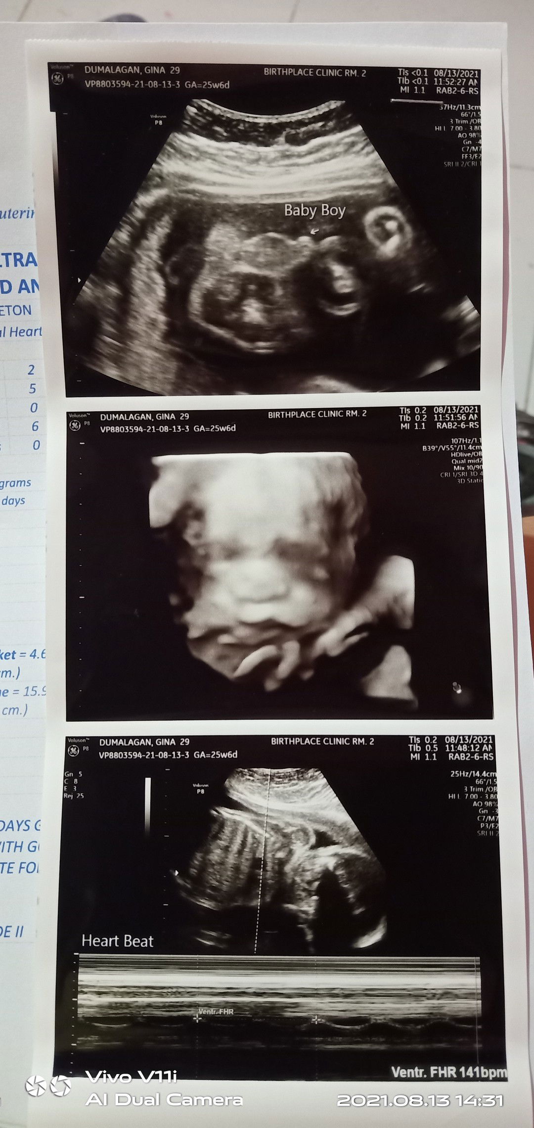 گینا فءمالاگان profile icon