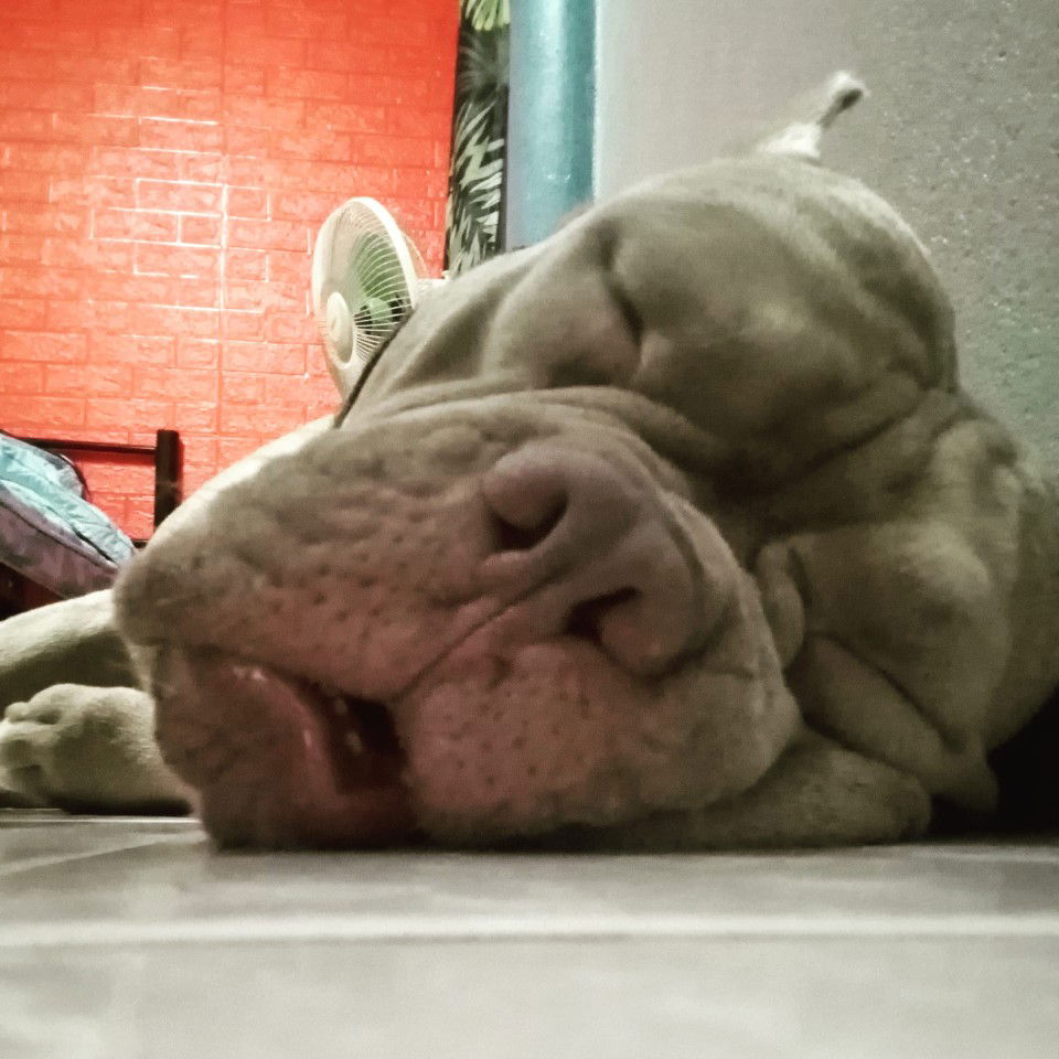 ไนท์ กลางคืน. profile icon