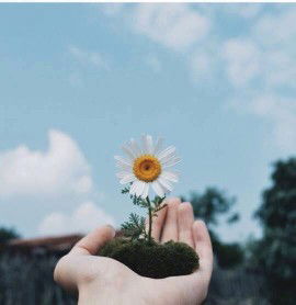 kak ros profile icon