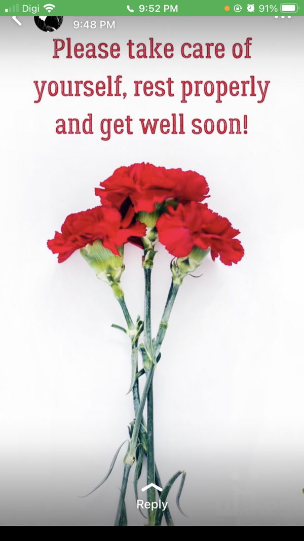 anis syahirah profile icon