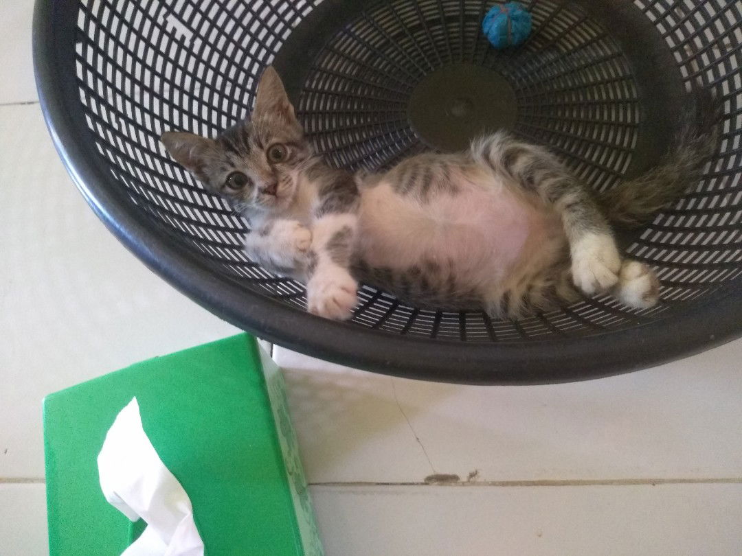 resi edradiana profile icon