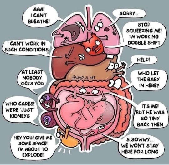 Patricia Luin profile icon