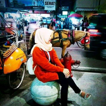 Suciani Pravitasari profile icon