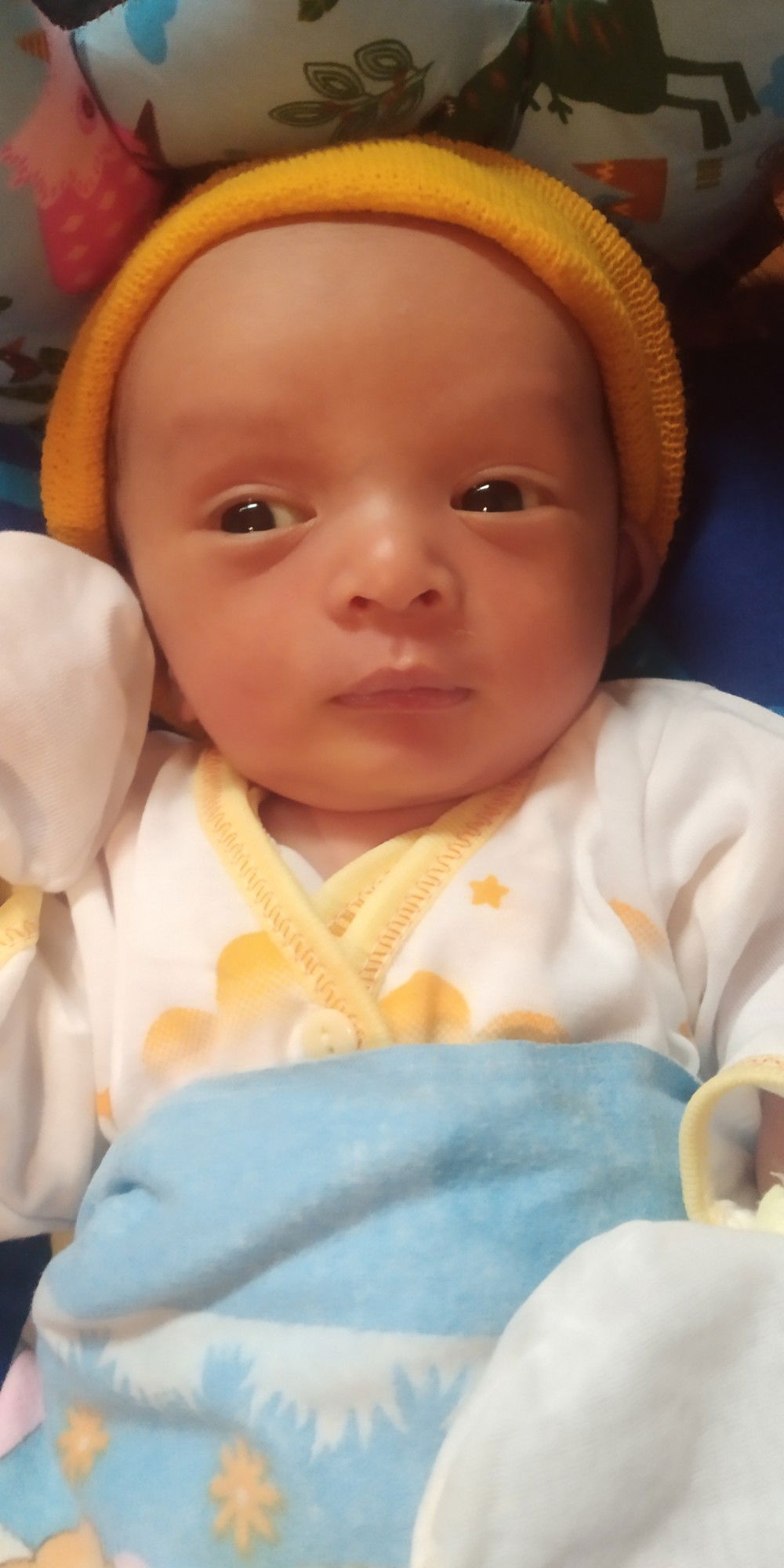 Shaka Athaya Dzuhairi profile icon