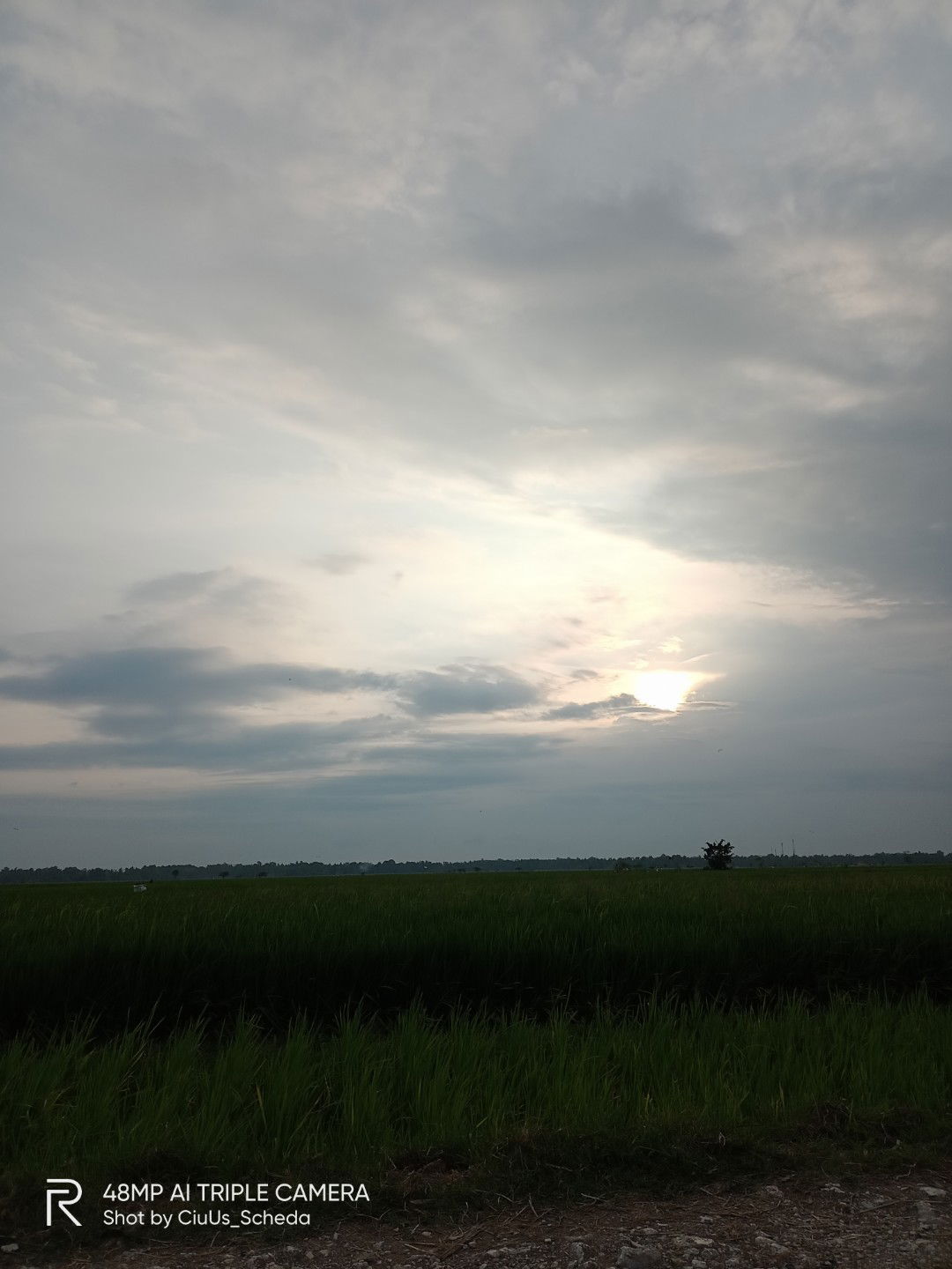 mamak desa profile icon