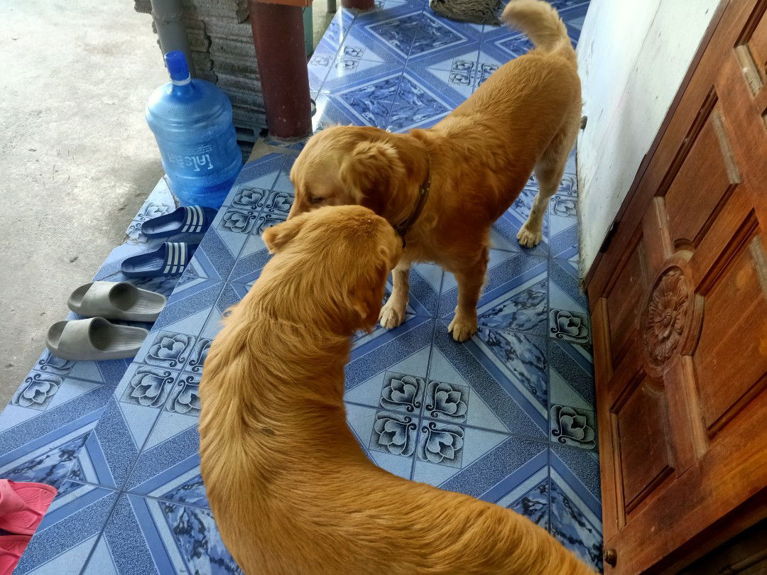 ตังค์ ตังค์ profile icon