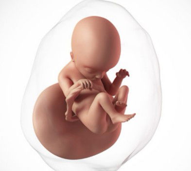 Jane Jira profile icon