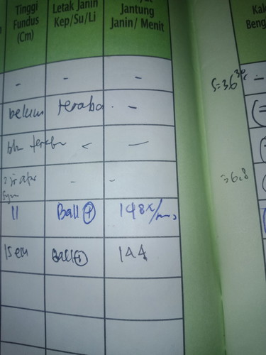 22 minggu