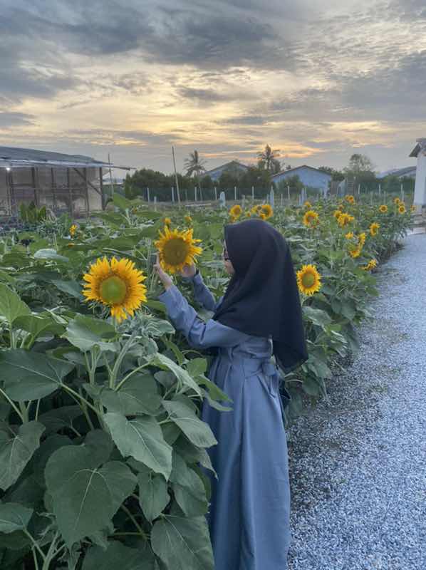 Nsyuria ri profile icon