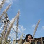 Pang Pang profile icon