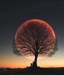 I am weak T^T profile icon