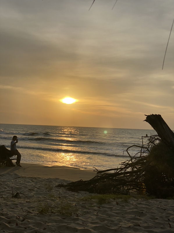 Scheline Deena Eddy profile icon