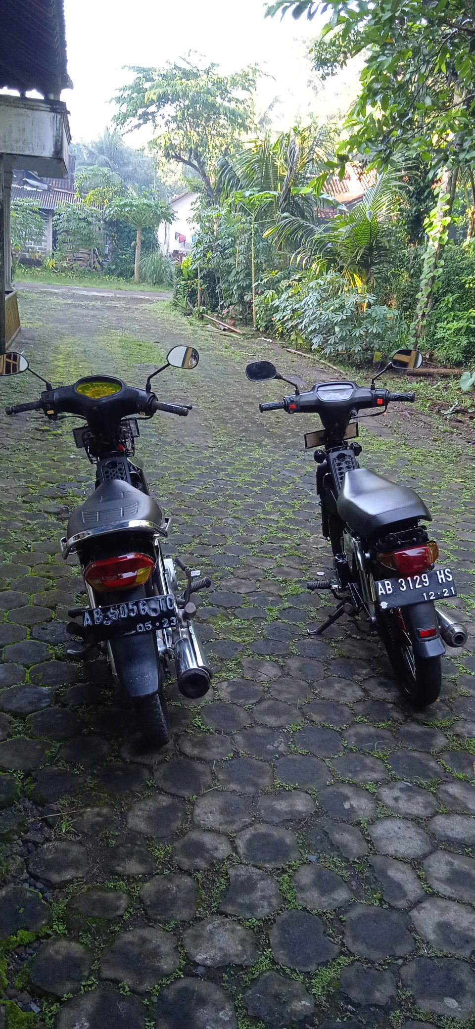 Surip Sri Rahayu profile icon