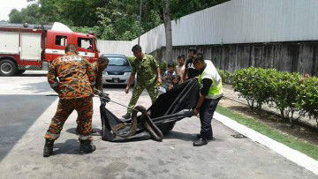 Amir bin suhaimi profile icon