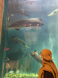 Vera Aprilia Putranti profile icon