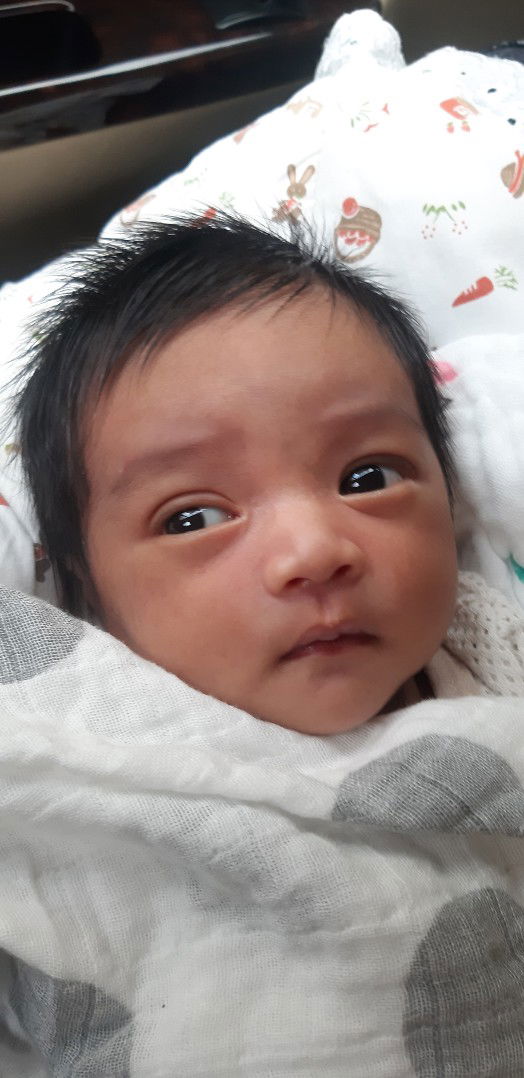 CHAH AR TV profile icon